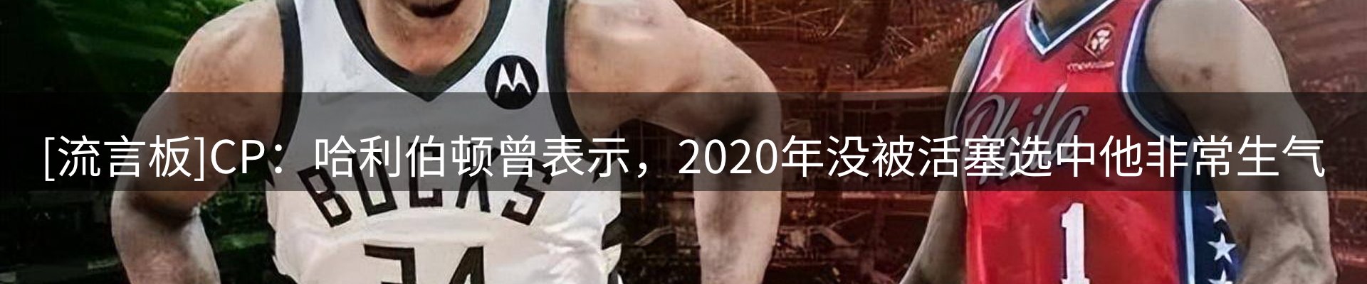 网站资讯